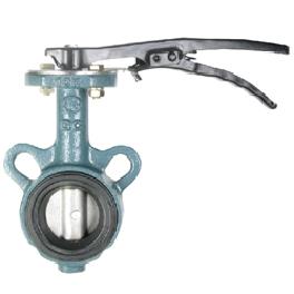 Butterfly Valve