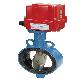 detail image1 BUTTERFLY VALVE