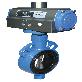 detail image2 BUTTERFLY VALVE