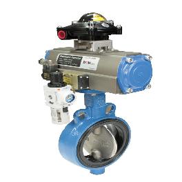 BUTTERFLY VALVE